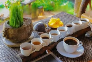 Fiske på Bali med traditionell båt