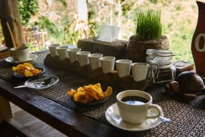 Fiske på Bali med traditionell båt