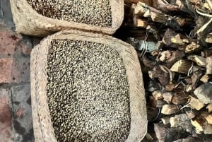 Fiske på Bali med traditionell båt