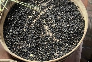 Fiske på Bali med traditionell båt