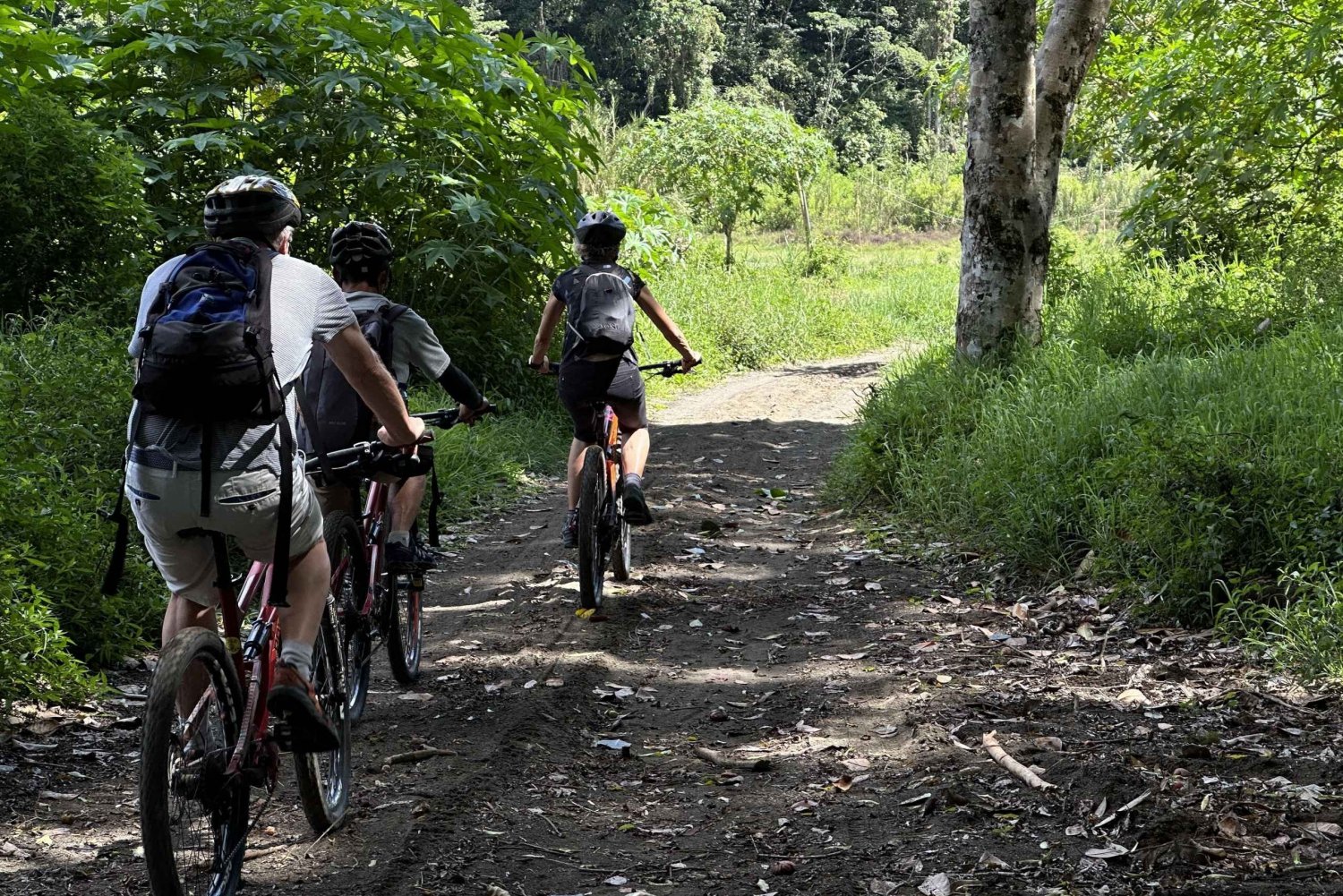 Munduk/Bali: Jungle Trek, Canoe, Waterfall & Cycling