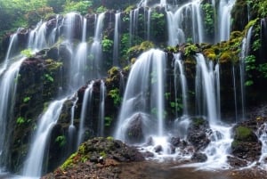 Munduk: Banyu Wana and Sekumpul Waterfall Trekking Tour
