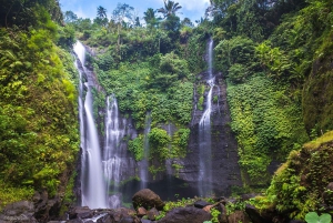 Munduk: Banyu Wana & Sekumpul Waterfall Trekking with lunch