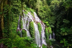 Munduk: Banyu Wana & Sekumpul Waterfall Trekking with lunch