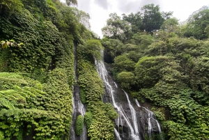 Munduk: Mejor intenerio turístico/ cascadas de banyumala y sekumpul