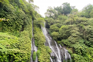 Munduk: Mejor intenerio turístico/ cascadas de banyumala y sekumpul