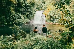 Munduk: Five Hidden Gems Waterfalls Trekking