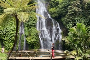 Munduk Highlights: Stunning North Bali Waterfalls & Temple