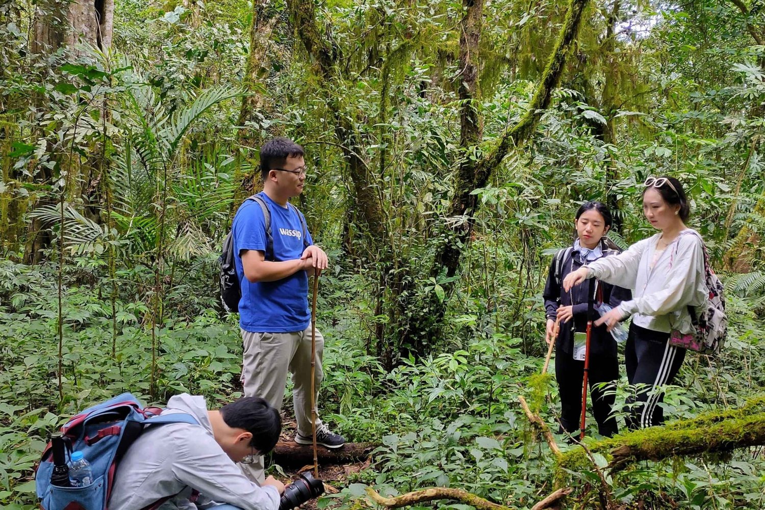 Munduk: Trekking nella giungla, canoa e lezione di cucina balinese