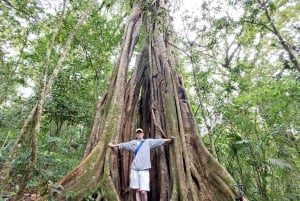 Munduk: Trekking na selva, canoagem e aula de culinária balinesa