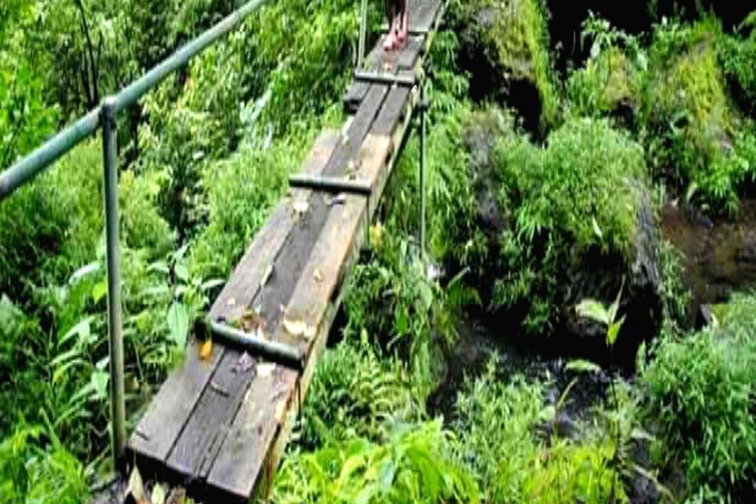 MUNDUK : Jungle Trekking Day Tour