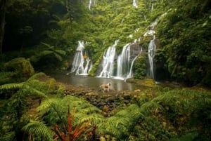 MUNDUK : Jungle Trekking Day Tour