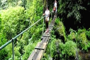 MUNDUK : Jungle Trekking Day Tour