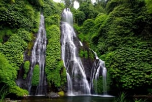 MUNDUK : Jungle Trekking Day Tour