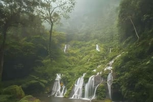 MUNDUK : Jungle Trekking Day Tour