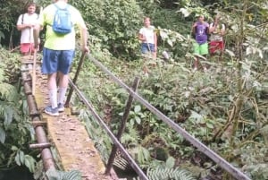 MUNDUK : Journée de trek dans la jungle