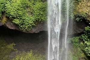 MUNDUK: dagtour met jungletocht