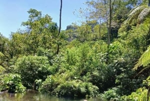 MUNDUK : Jungle Trekking Day Tour