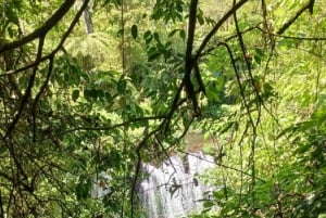 MUNDUK : Jungle Trekking Day Tour