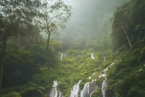 MUNDUK : Jungle Trekking Day Tour