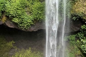 MUNDUK : Jungle Trekking Day Tour