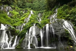 Munduk/Lovina : North bali coztumized tour
