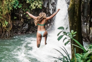 Munduk/Lovina: Waterfall, Snorkeling & Dolphin Watching Tour