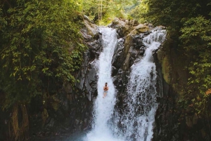 Munduk/Lovina: Waterfall, Snorkeling & Dolphin Watching Tour