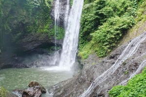 Munduk/Lovina: Waterfall, Snorkeling & Dolphin Watching Tour