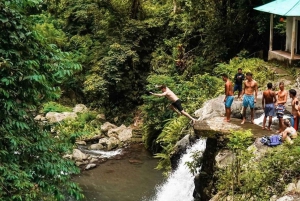 Munduk/Lovina: Waterfall, Snorkeling & Dolphin Watching Tour