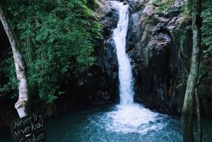 Munduk/Lovina: Waterfall, Snorkeling & Dolphin Watching Tour