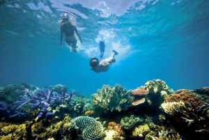 Munduk/Lovina: Waterfall, Snorkeling & Dolphin Watching Tour