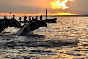 Munduk/Lovina: waterval, snorkelen en dolfijnen kijken