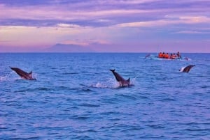 Munduk/Lovina: waterval, snorkelen en dolfijnen kijken