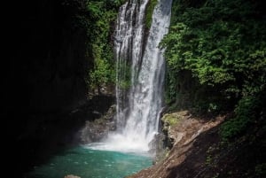 Munduk/Lovina: Wasserfall, Schnorcheln & Delfinbeobachtungstour