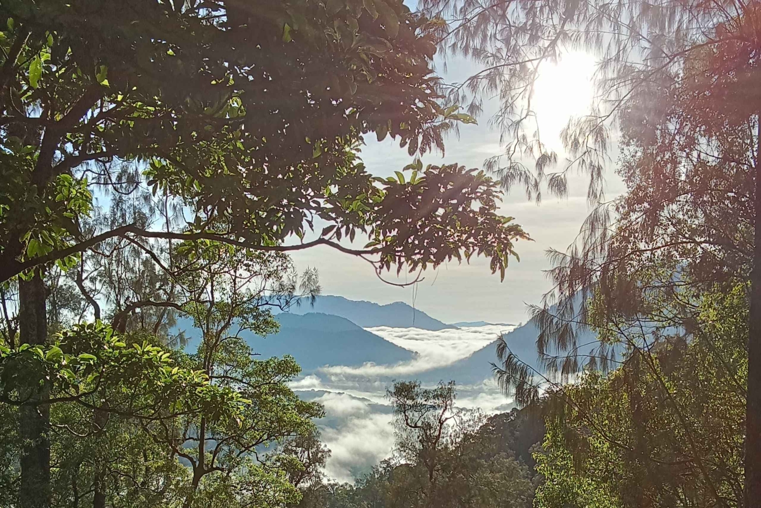 ムンドゥク：現地ガイドと行くシャンヤン山トレッキング