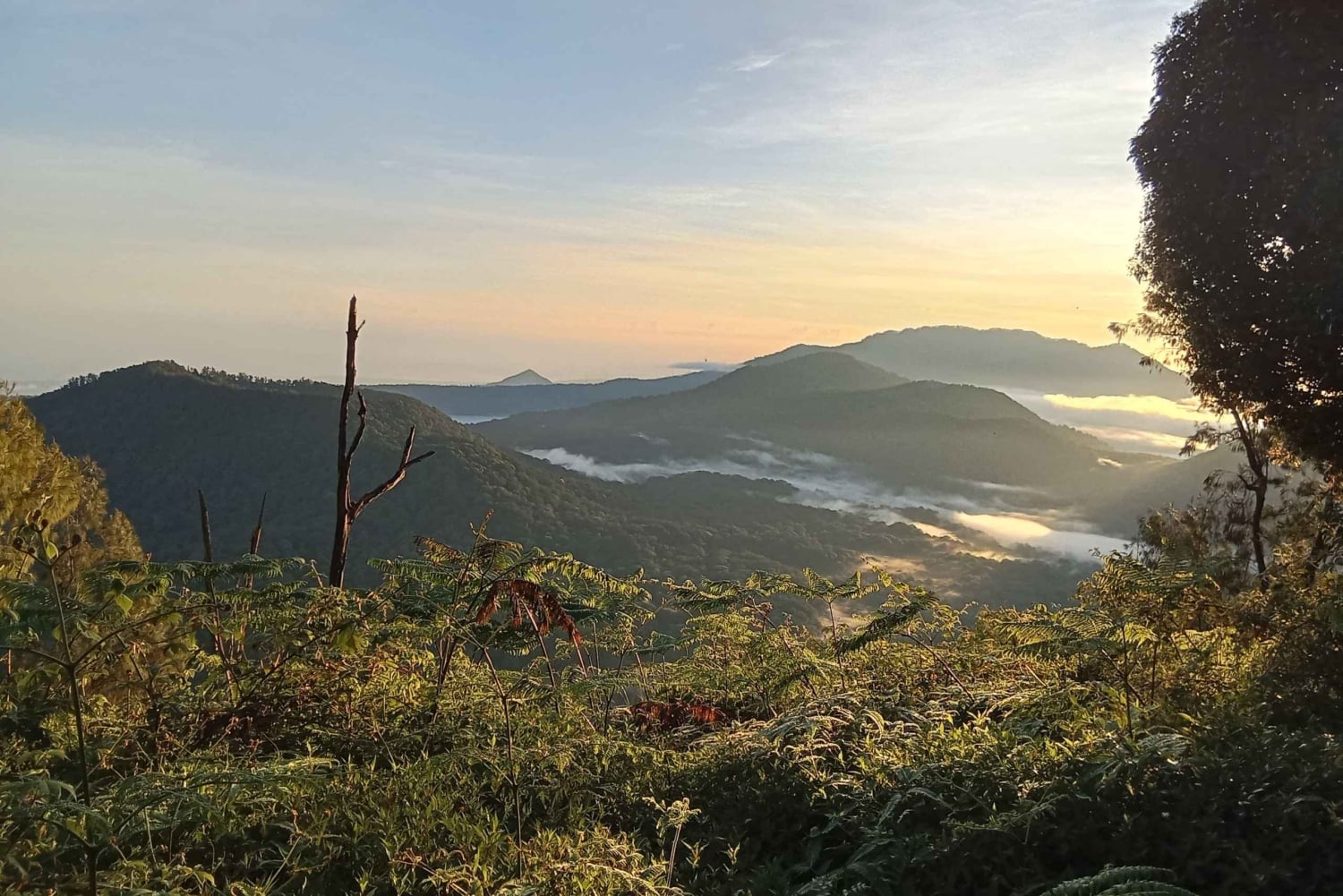 ムンドゥク：現地ガイドと行くシャンヤン山トレッキング