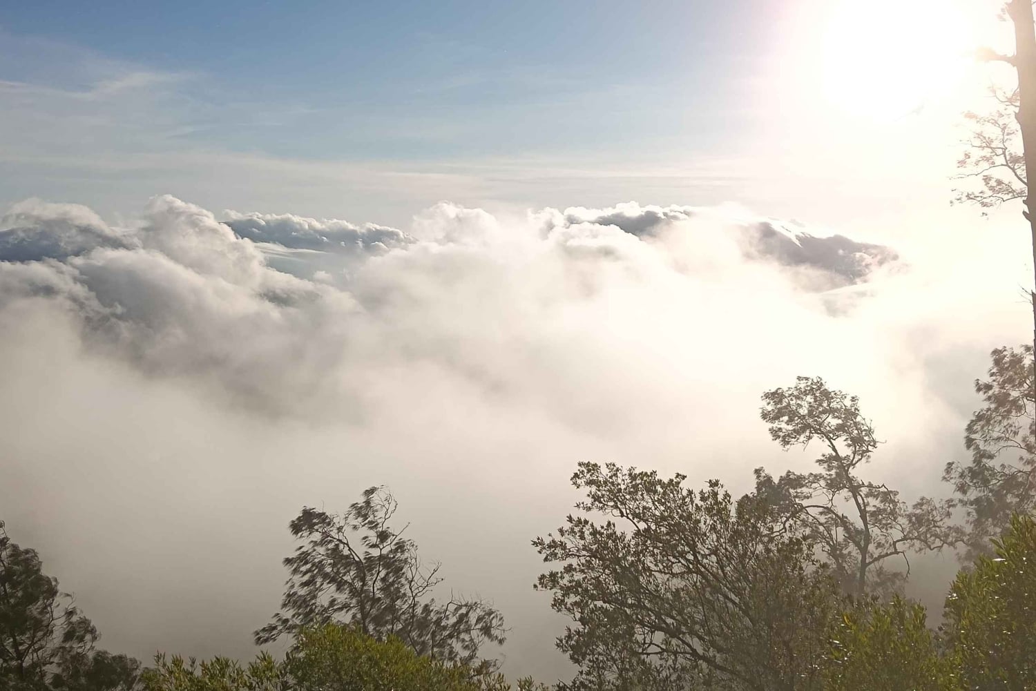 ムンドゥク：現地ガイドと行くシャンヤン山トレッキング