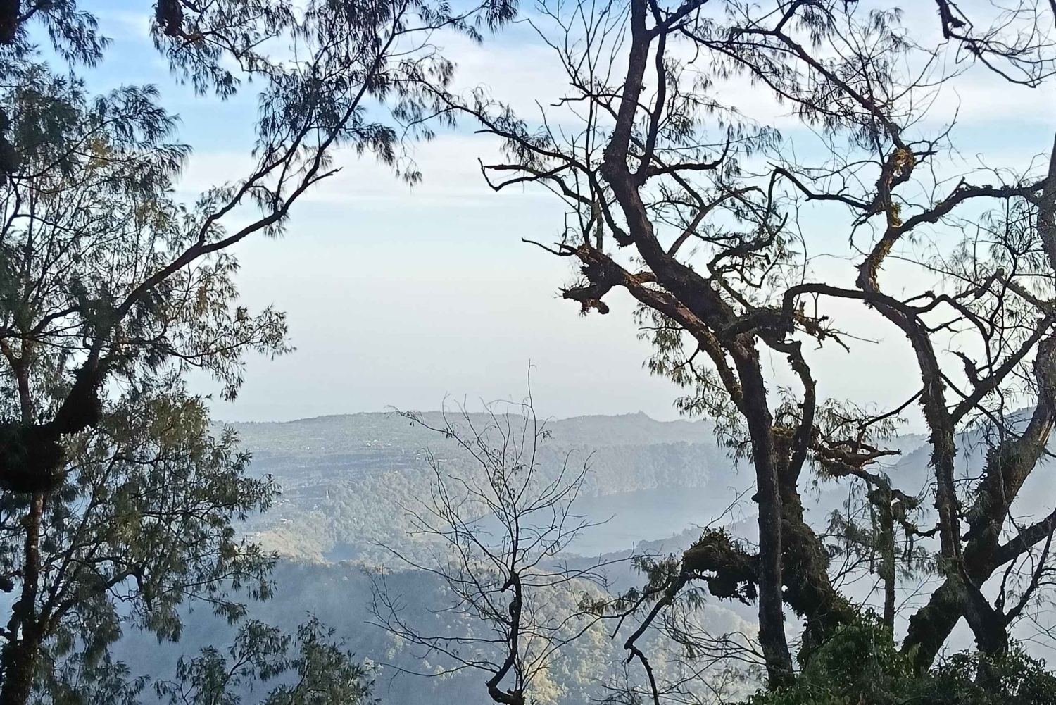 ムンドゥク：現地ガイドと行くシャンヤン山トレッキング