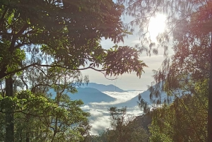 ムンドゥク：現地ガイドと行くシャンヤン山トレッキング