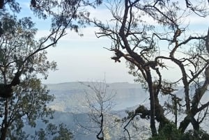 ムンドゥク：現地ガイドと行くシャンヤン山トレッキング