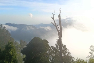 ムンドゥク：現地ガイドと行くシャンヤン山トレッキング