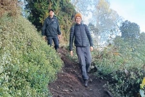 ムンドゥク：現地ガイドと行くシャンヤン山トレッキング