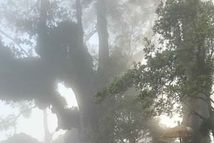 ムンドゥク：現地ガイドと行くシャンヤン山トレッキング