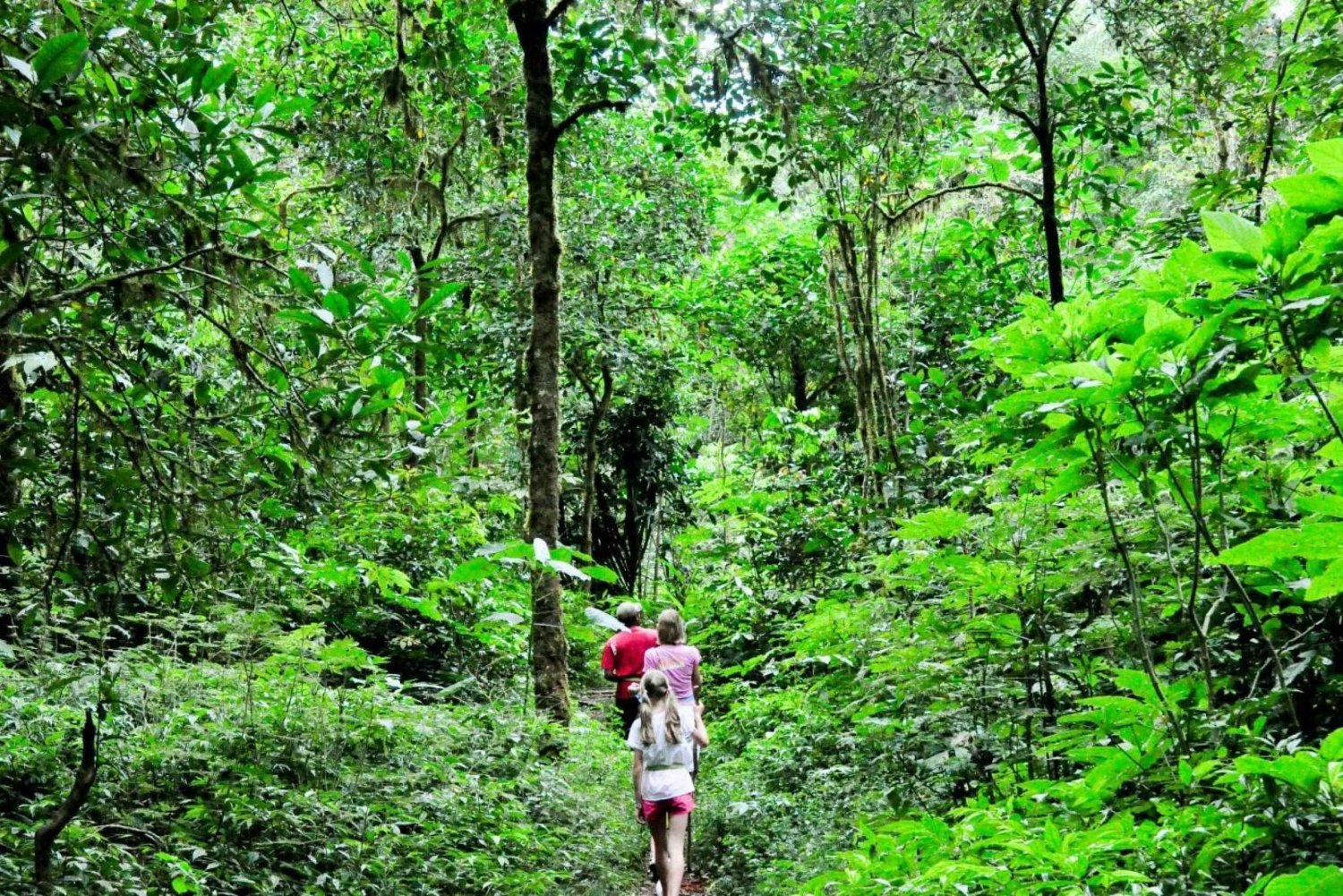 Munduk : Trekking und Kanufahren auf dem Tamblingan See im Regenwald