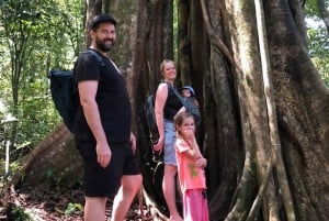 Munduk : Rainforest trekking, Lake canoeing & best waterfall
