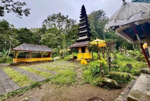 Munduk: Caminhada na selva do Lago Gémeo, Templo Ulun Danu e Cascata