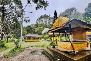 Munduk: Caminhada na selva do Lago Gémeo, Templo Ulun Danu e Cascata