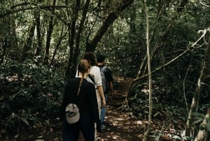 Munduk: Caminhada na selva do Lago Gémeo, Templo Ulun Danu e Cascata
