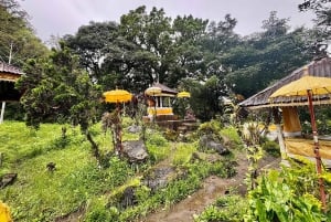 Munduk: Caminhada na selva do Lago Gémeo, Templo Ulun Danu e Cascata